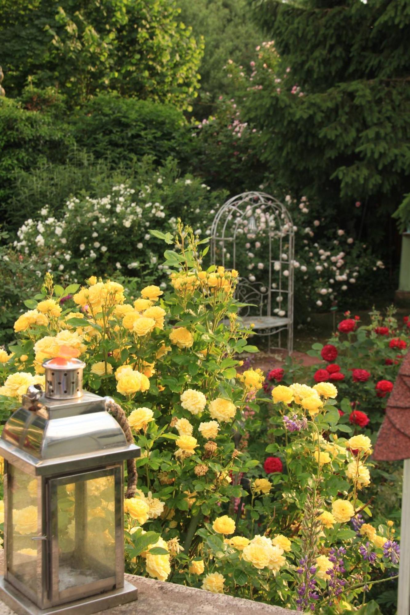 B&B Dressings Traumgarten Kaiserslautern Dış mekan fotoğraf